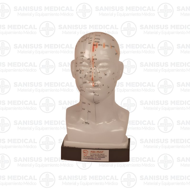 Modelo anatómico de cabeza con puntos de acupuntura numerados para estudio y formación, fabricado en caucho blando de alta calidad