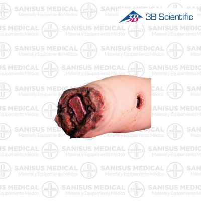 Simulador de pierna control hemorragias P103