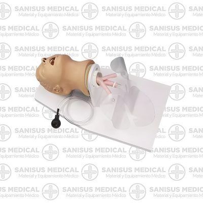 Cabezal de intubación Airway Larry para entrenamiento de vías aéreas en adultos.
