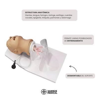 Cabezal de intubación Airway Larry para entrenamiento de vías aéreas en adultos.
