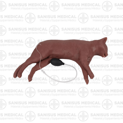 Simulador de gato para formación en RCP