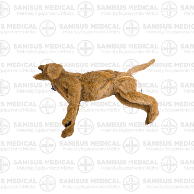 Perro simulador de cuidados críticos Jerry