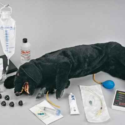 HLW Hund, erweiterte Ausf?hrung