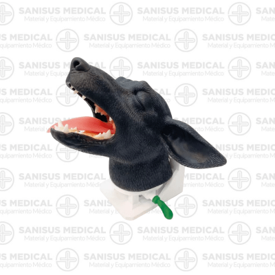 Cabezal de intubación canina