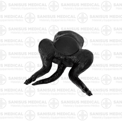 Simulador de ultrasonido de vejiga canina